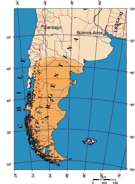Patagonia logo
