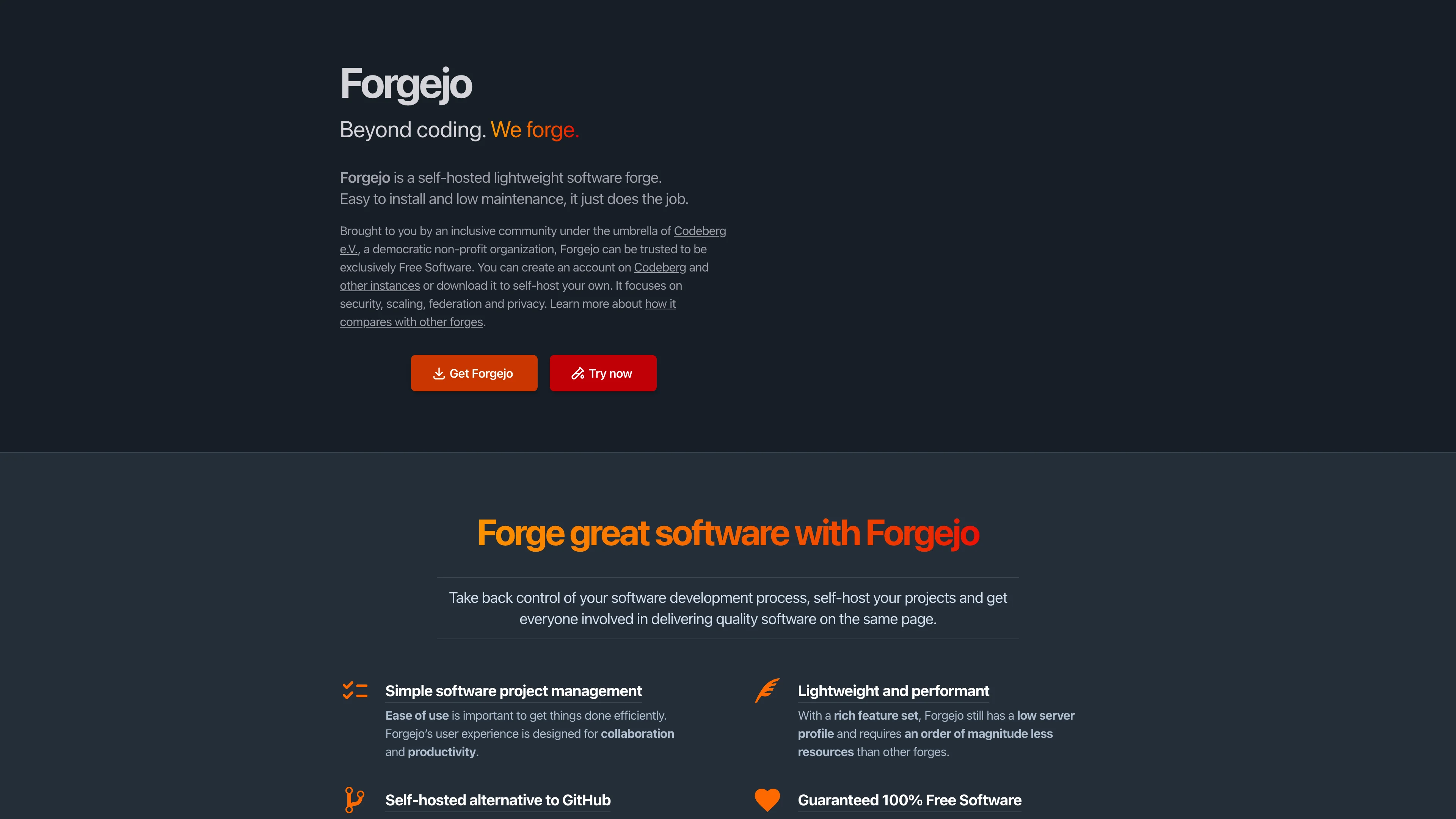 Screenshot of Forgejo